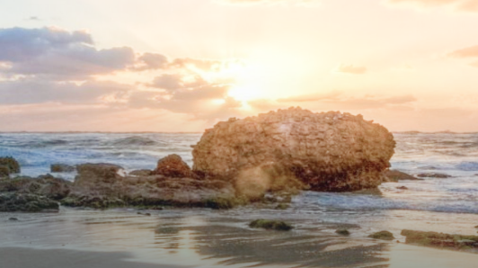 鸿运国际·(中国)最新官方网站